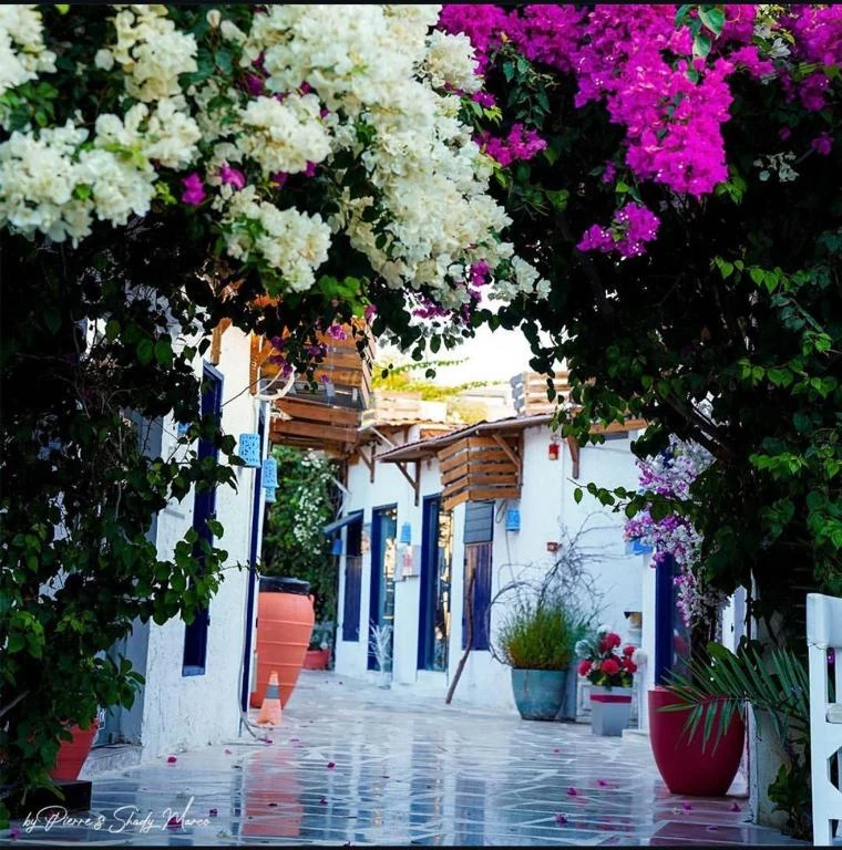 IOS Village &Hotel in Sidi Abd El Rahman, North Coast Egypt